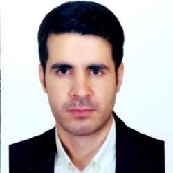 رضا ایرانلو