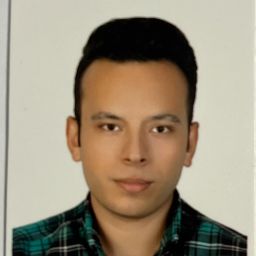 هومن انصاری